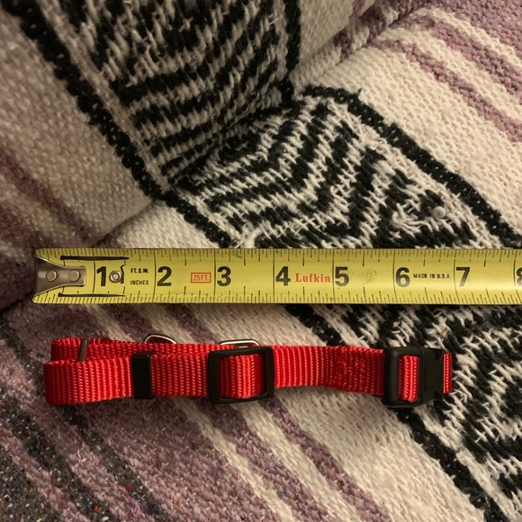 Dog collar new and adjustable - Picture 4 of 4